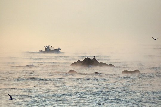 Ship in the fog.