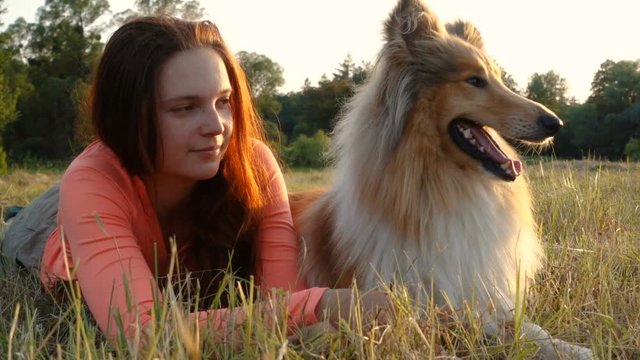 Collie dog with young girl on green field at sunlight