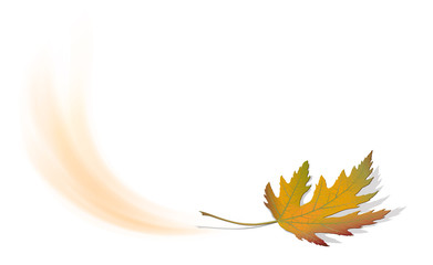 Herabfallendes Ahorn Blatt im Herbst
Herbstlaub mit Laubfärbung
Vektor Illustration isoliert auf weißem Hintergrund