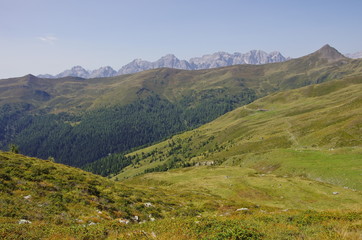 Naklejka premium Green valley in the Comelico mountains