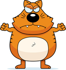 Angry Cat