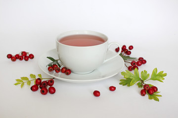 Healthy hawthorn berry tea 