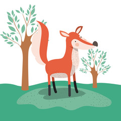 fox animal caricature in forest landscape background vector illustration