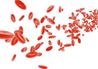 3d erythrocyte objects isolated on white background.