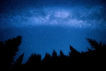 Wall murals Night Milky Way above the night mountain forest