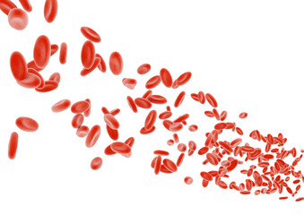 3d erythrocyte objects isolated on white background.