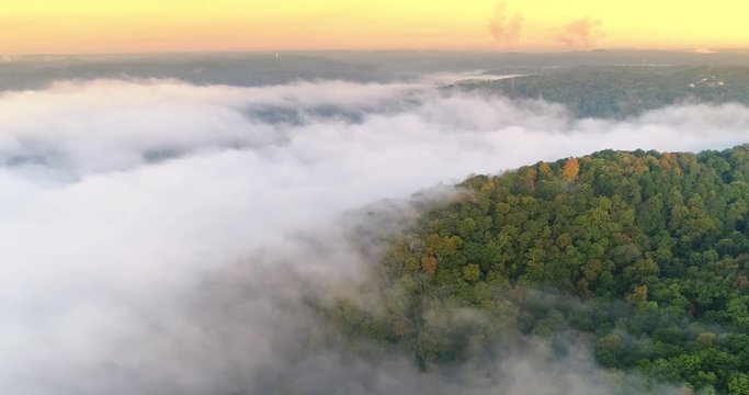 An early morning aerial establishing shot of a foggy Western Pennsylvania forest.  	