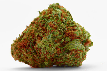 Close up of medical marijuana strain Mango Tango