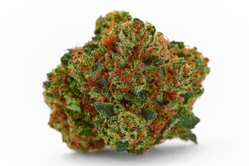 Close up of medical marijuana strain BMC House