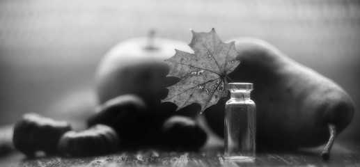 Autumn still life with maple leaf, apple, pear and chestnuts. Black and white, selective focus.