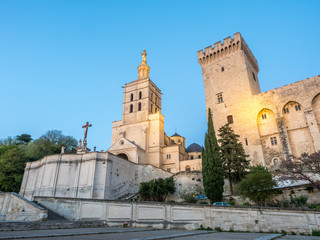 Fototapeta na wymiar Cathedral of Our Lady of Doms in Avignon