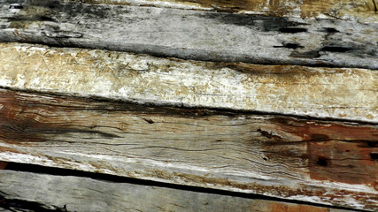 Wood texture background