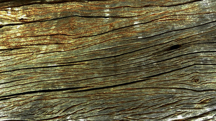 Wood texture background