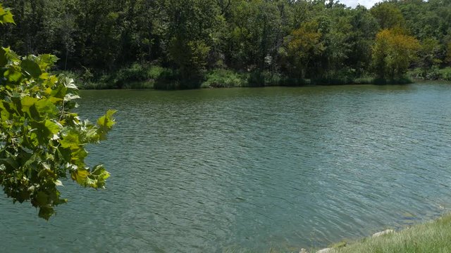 Steady shot of water flowing in a lake on a bright sunny day, with slight breeze blowing on the leaves of trees