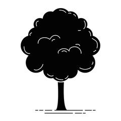 tree plant isolated icon vector illustration design