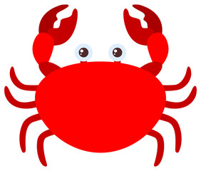 Red crab on white background