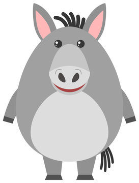 Gray donkey on white background