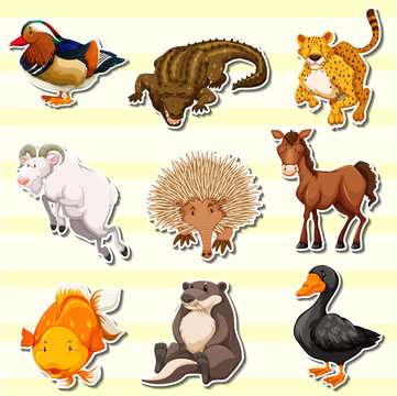 Wild animals in sticker set