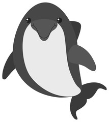 Gray dolphin on white background