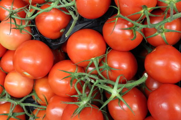frische Tomaten