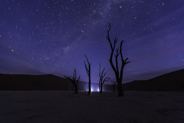 Deadvlei and Milky Way ,Namibia