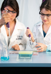 Two young scientists preparing Elisa plate