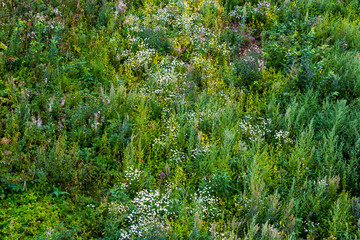 Fototapeta premium Texture background