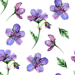 Watercolor floral seamless pattern with Forest geranium flowers on white background