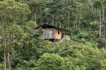 simple wood houde in the jungle in the Ecuadorian Amazon area