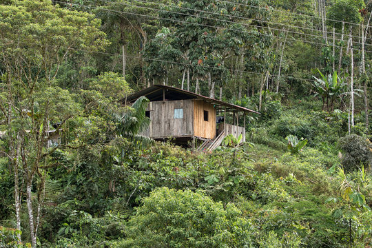 simple wood houde in the jungle in the Ecuadorian Amazon area