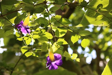 植物公園にて