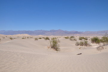 Fototapeta na wymiar Death valley