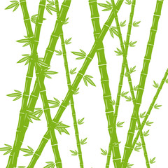 Green bamboo on a white background