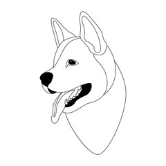 dog  face vector illustration line drawing head