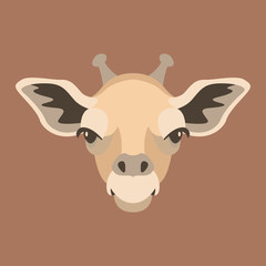 giraffe face    head vector illustration style flat 