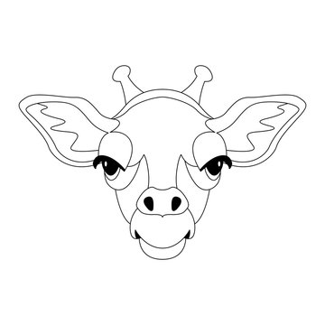 giraffe  face vector illustration line drawing 