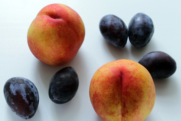 nectarines and plums on a light background