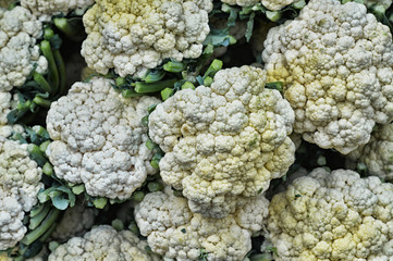 Ripe fresh cauliflowers