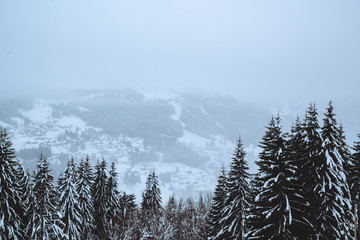 Winter in the French Alps. Les Gets, France. 