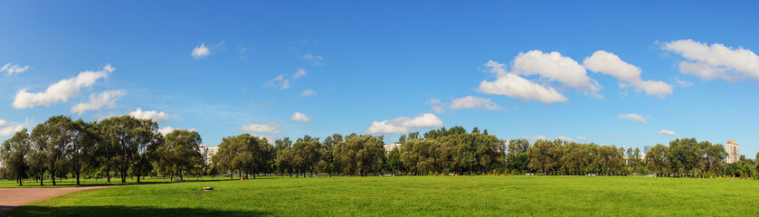 landscape in a green park