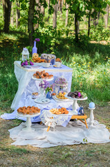 the tables with the desserts . decorated plates of cookies , biscuits. A wedding Banquet . Extra pounds and calories . Sweets of various kinds
