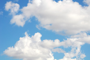 Fototapeta premium Blue sky with white clouds
