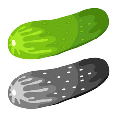 Cucumber, cucumber icon, vegetable