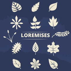 Fototapeta na wymiar Nature elements collection - leaves and grass silhouettes set