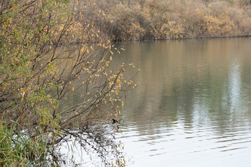 Autumn on Lake San Daniele.