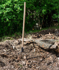 Pitchfork stuck in some bark