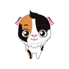 Cute stylized cartoon guinea pig illustration ( for fun educational purposes, illustrations etc. )