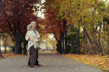 Fototapeta premium Senior couple standing in park