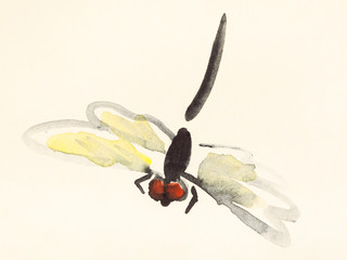 Obraz premium flying dragonfly hand painted on colored paper