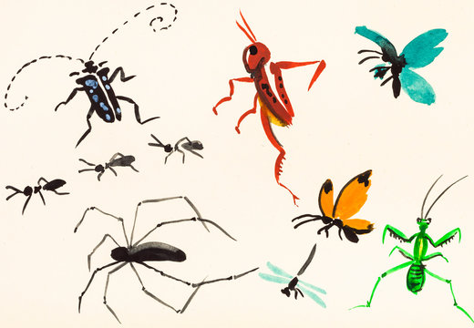 many insects hand painted on cream colored paper